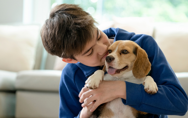 Cómo Vivofácil integra a tus mascotas en tu plan de conciliación laboral