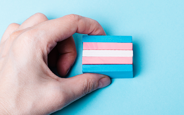 Conoce las novedades de la Ley Trans y LGTBI para empresas