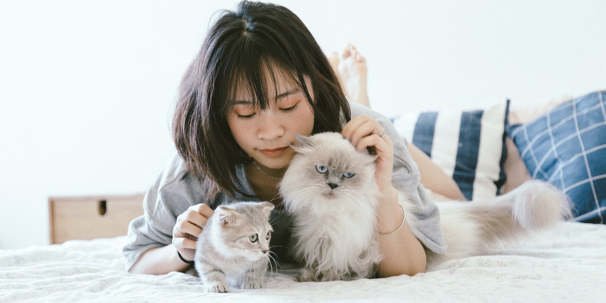 En Vivofácil, tu mascota es uno más en la familia