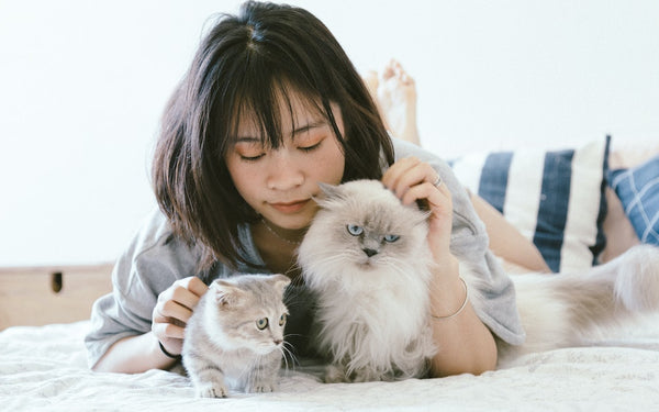 En Vivofácil, tu mascota es uno más en la familia