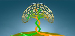 ¿Quieres ser un referente en InnoDiversidad?